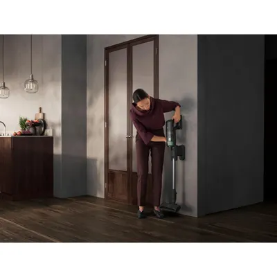Aspirator vertical AEG Serie 7000 OKO