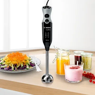 Blender vertical Bosch ErgoMixx MSM67170, 750W