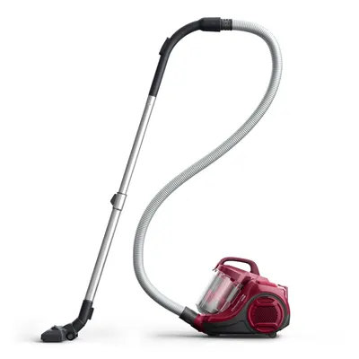 Aspirator fără sac Rowenta RO2933EA