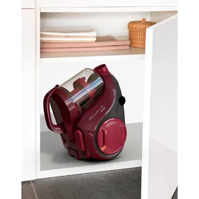 Aspirator fără sac Rowenta RO2933EA