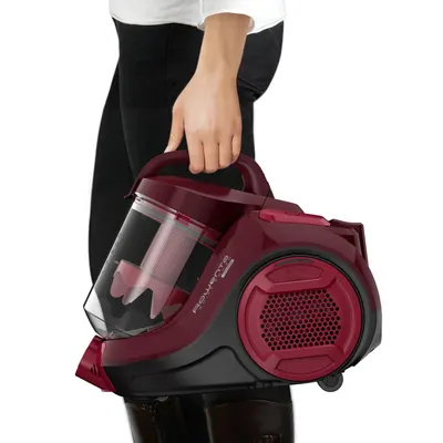 Aspirator fără sac Rowenta RO2933EA